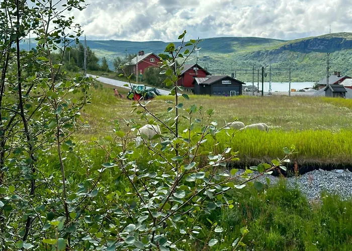 Vakantiehuis Spacious By Hardangervidda National Park