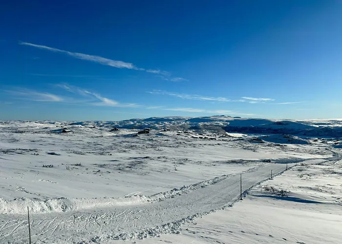 Spacious By Hardangervidda National Park *